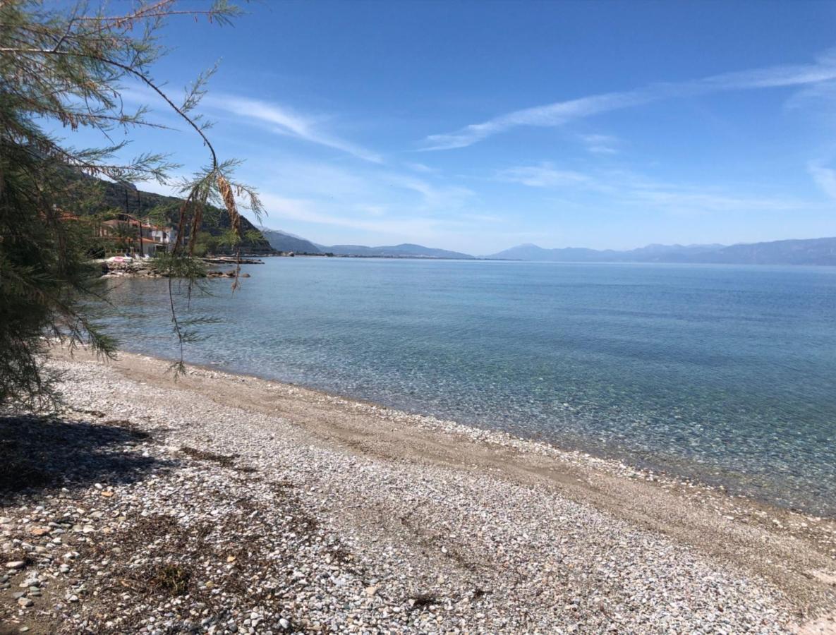 Paralia Platanou Seaview House Eksteriør bilde