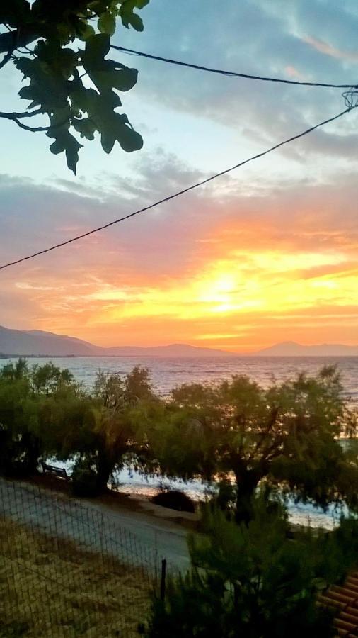 Paralia Platanou Seaview House Eksteriør bilde